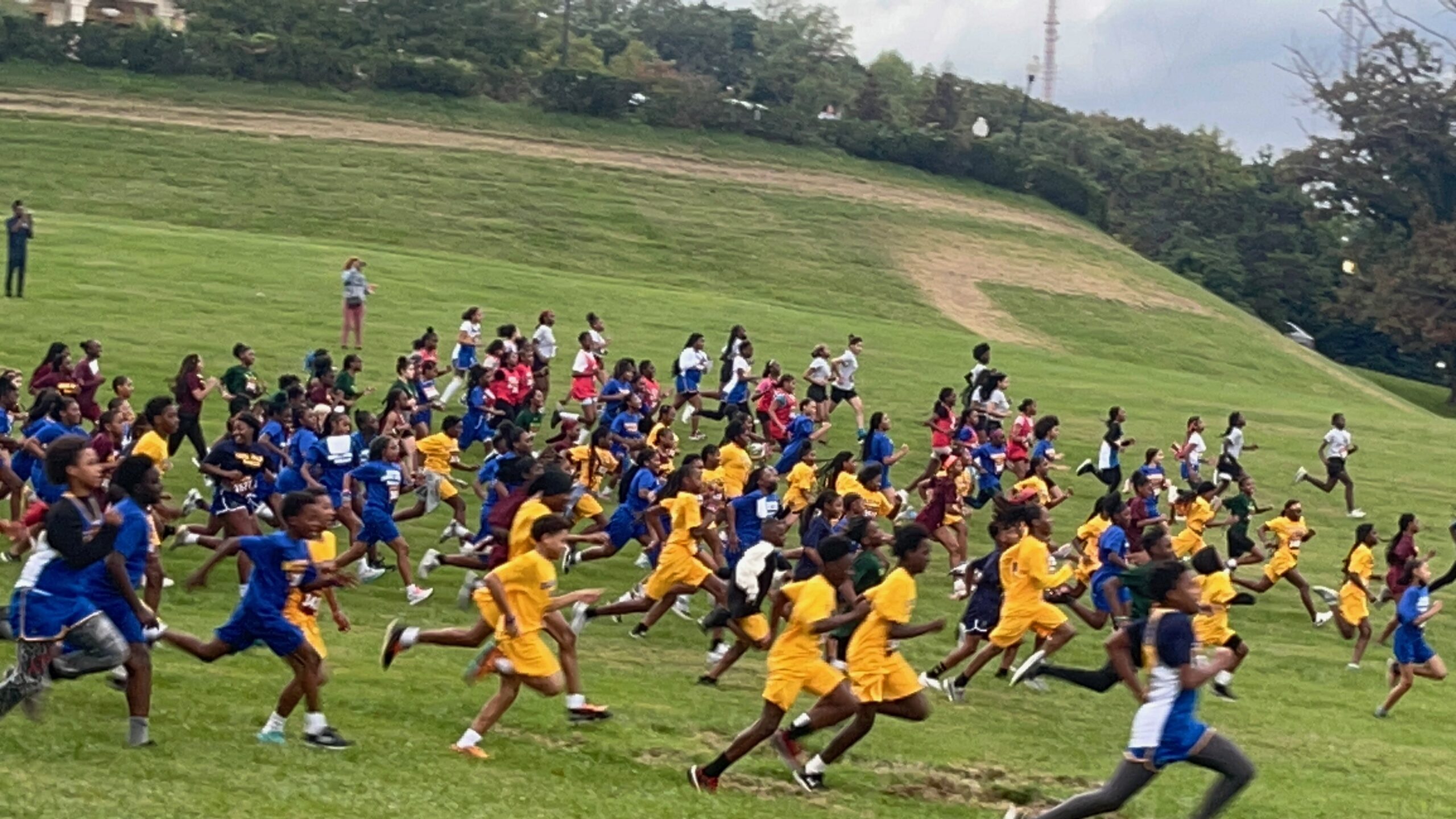 Runners racing across a grassy cross country course