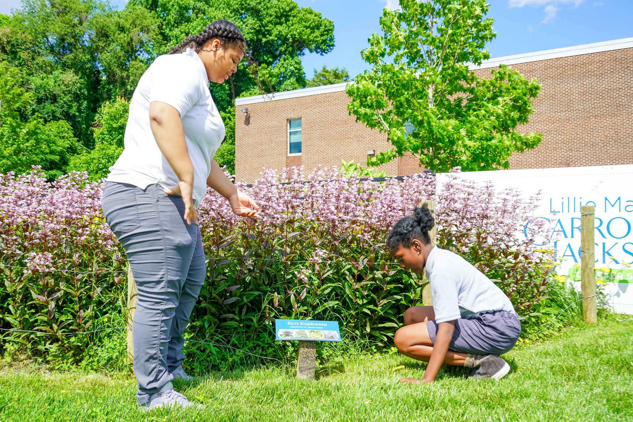 LMCJ scholars exploring plants on the school grounds